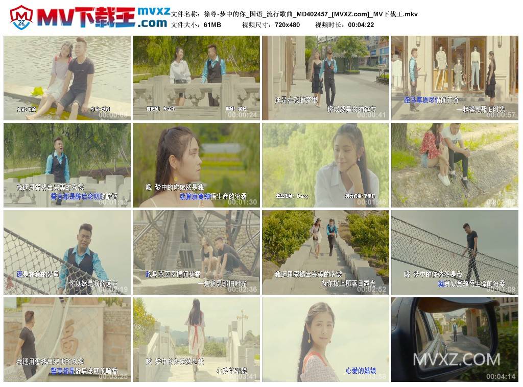 徐尊-梦中的你_国语_流行歌曲_MD402457